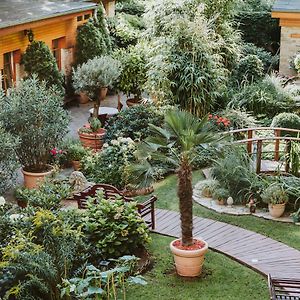 Garden Boutique Hotel